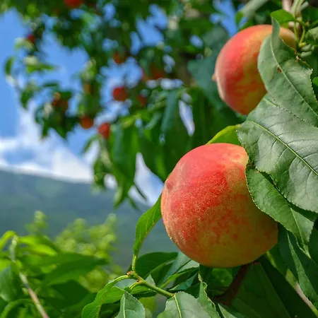 Апартаменты Ca' Marchesi