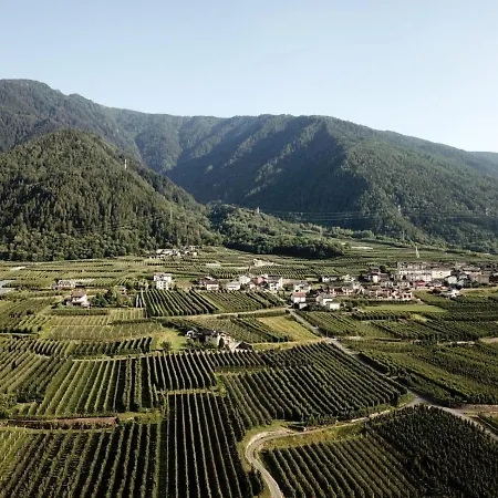 Ca' Marchesi *